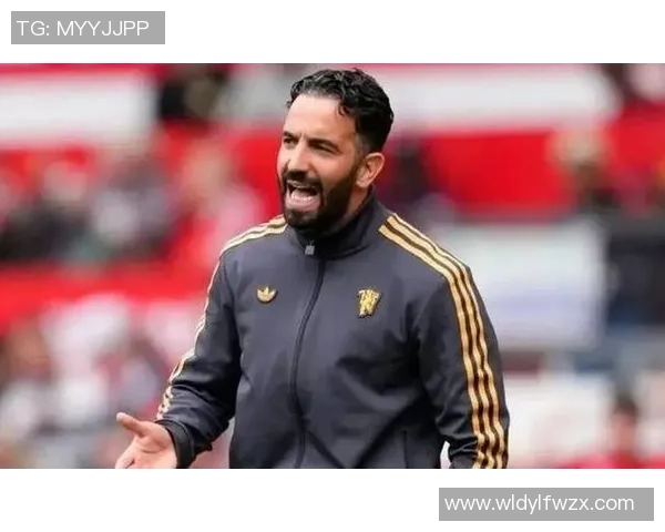 巴西铁腰的绿茵传奇从防守核心到球队灵魂的成长之路 巴西铁腰的绿茵传奇从防守核心到球队灵魂的成长之路