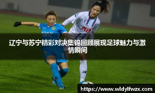 米兰体育官网
